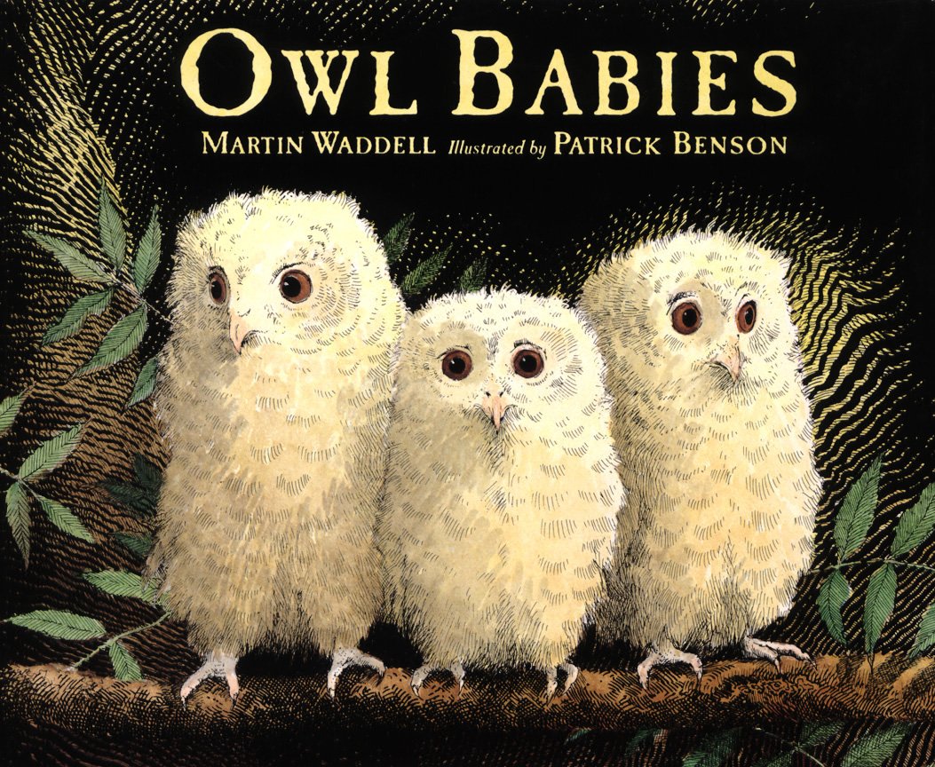 owl babies,喵屋绘本