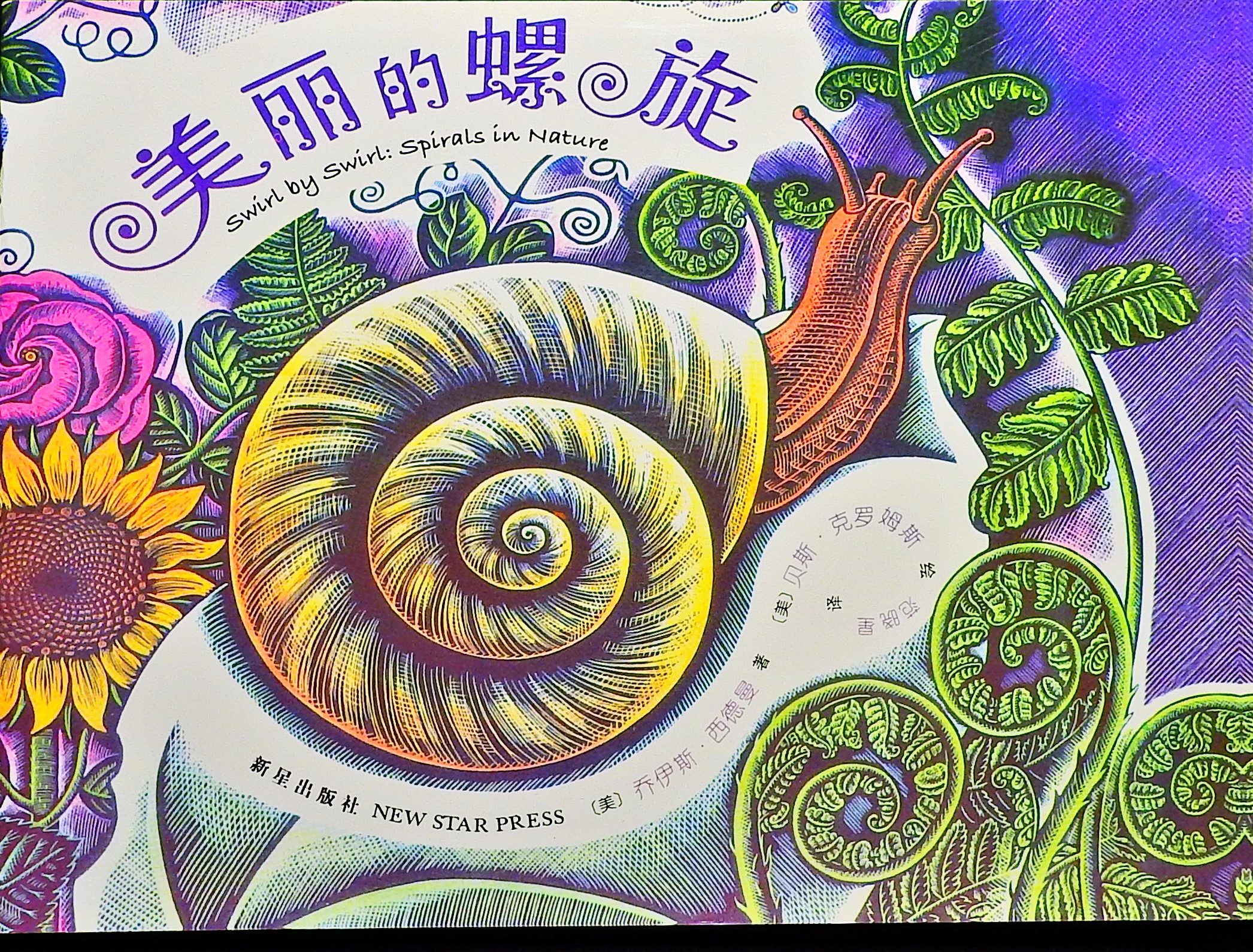 美丽的螺旋,喵屋绘本
