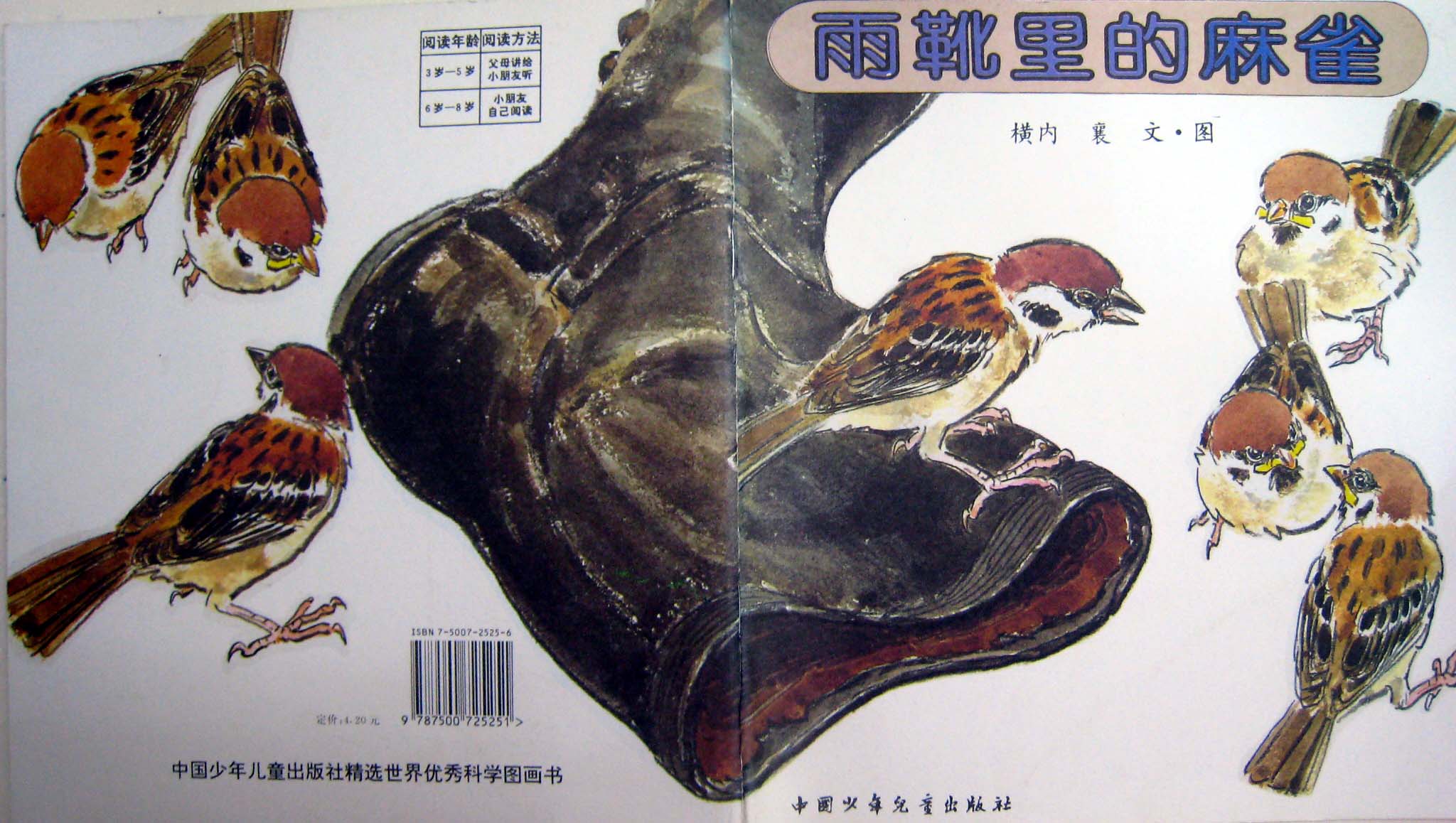 雨靴里的麻雀,喵屋绘本